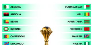 Qualified teams for 2019 African Cup of Nations