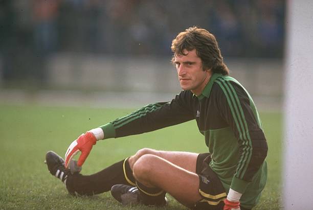 Ray Clemence goalkeepers with the most clean sheets in soccer history 